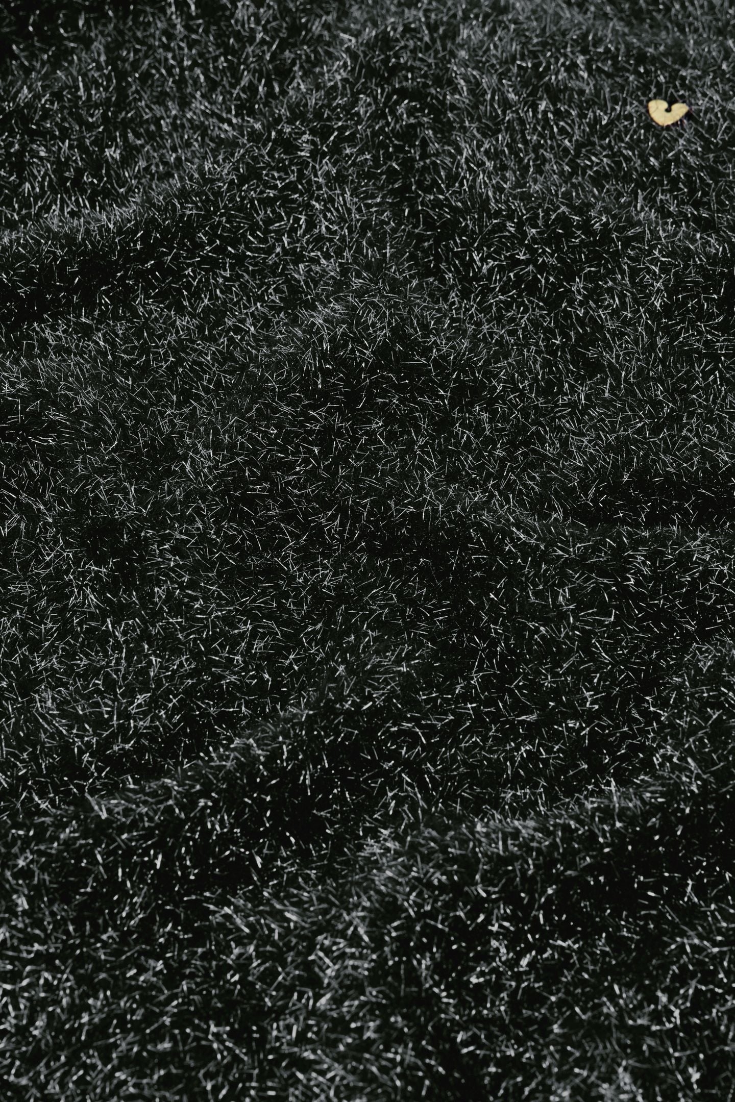 KIM CARDIGAN BLACK 5